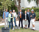 TreeWatch Committee of the Coconut Grove Village Council