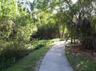 Wilton Manors - Outstanding Urban Forestry Program Small Community