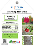 Traveling Tree Walk - UF/IFAS Pinellas County