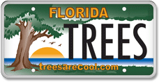 Trees are cool license plate