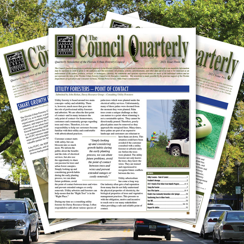 The Council Quarterly Newsletter Advertisement