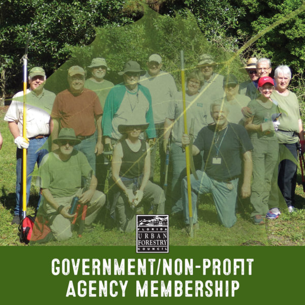 Government/Non-profit Membership