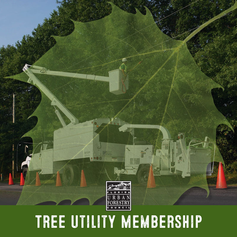 Utility Partner Membership