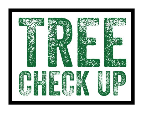 The Tree Due Diligence Brief