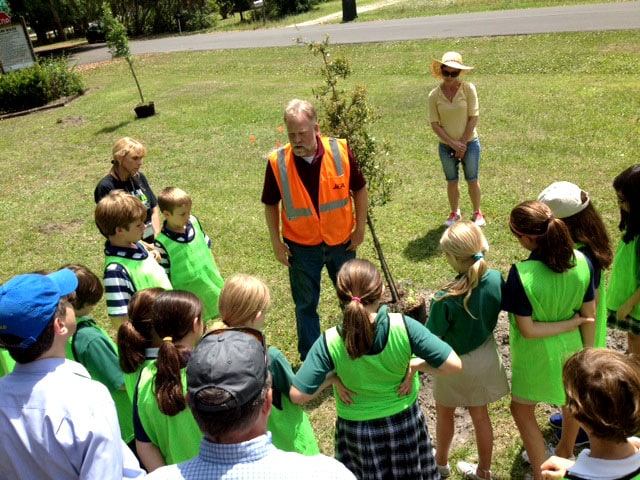 Tree planting with children