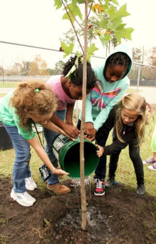 Tree Planting with Children