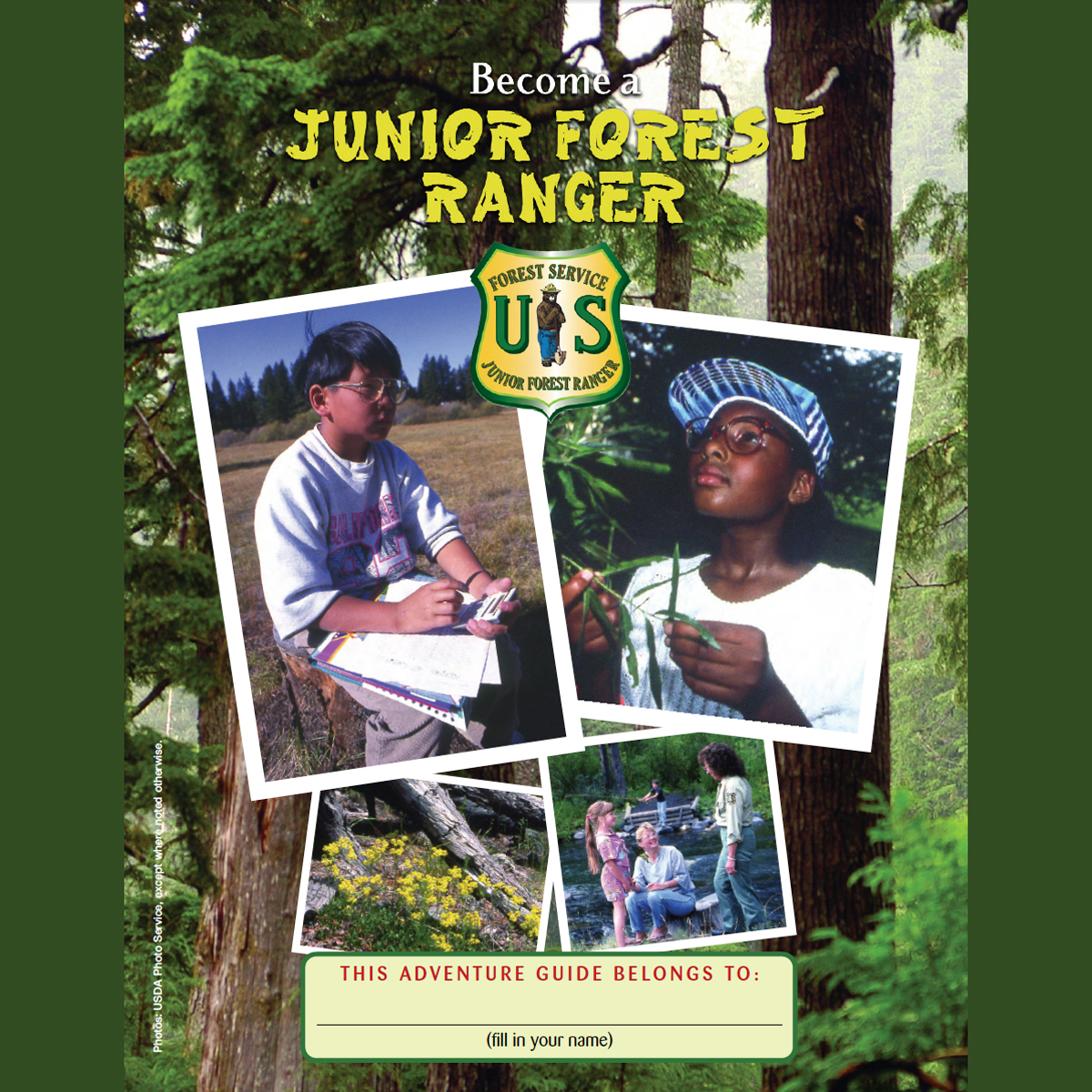 Junior Forest Ranger