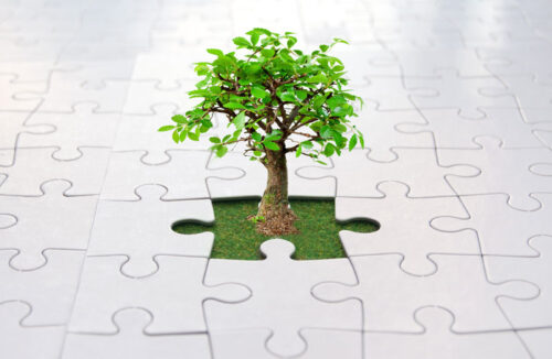 Jigsaw puzzle with tree growing from it