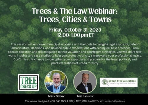 Trees and the Law: Trees, Cities and Towns