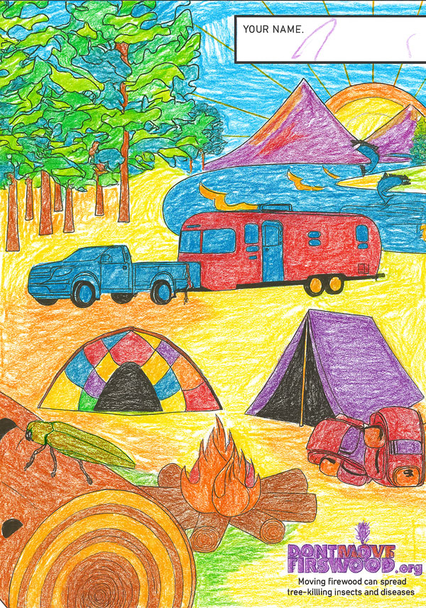 October is Firewood Month - check out this coloring book!