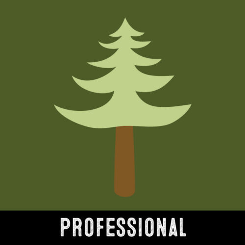 FUFC Professional Membership