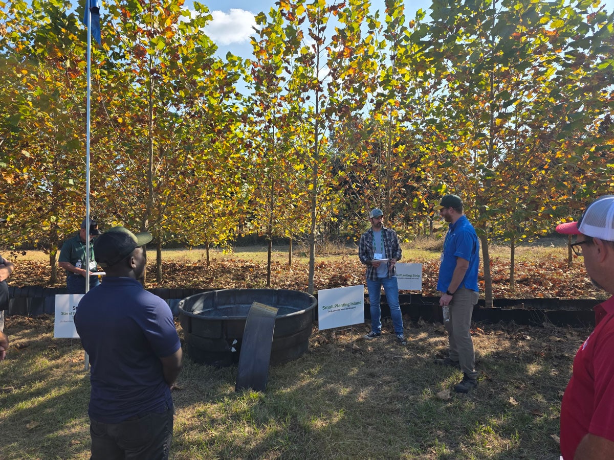 Great Southern Tree Conference - outside with trees for planting
