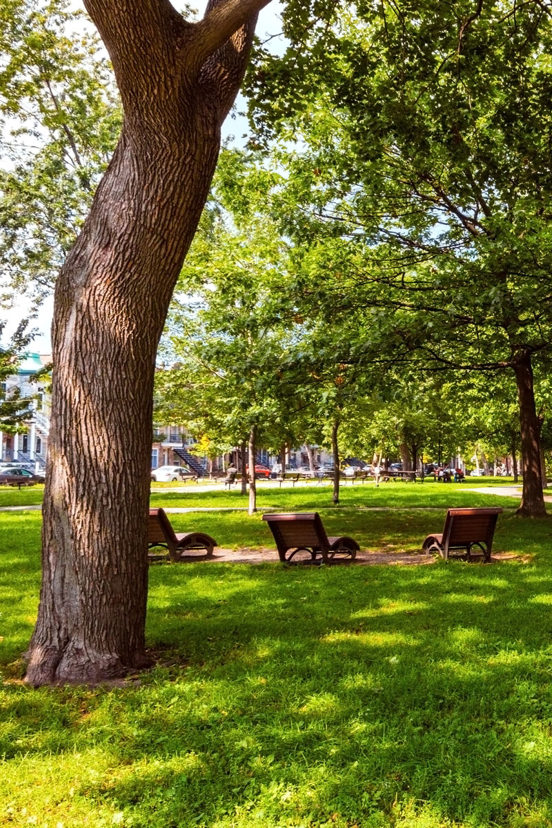 Community park with chairs and trees