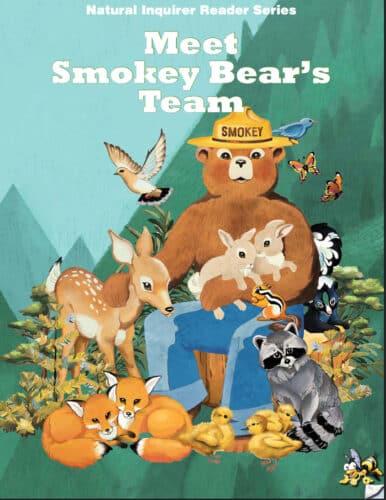 Meet Smokey Bear's Team - Activity book cover