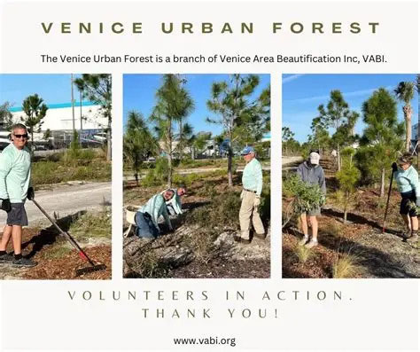 How the Urban Forest has Grown in Venice, FL