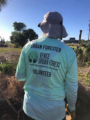 Venice, Florida volunteer planting trees