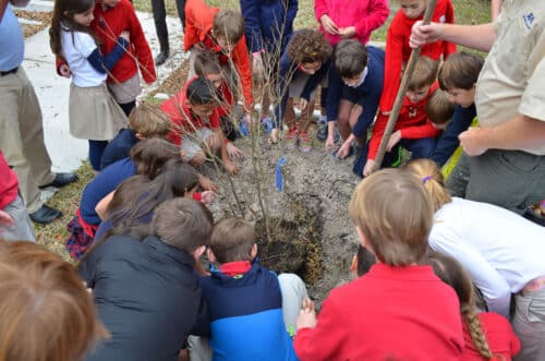 Children circling a newly planted tree.