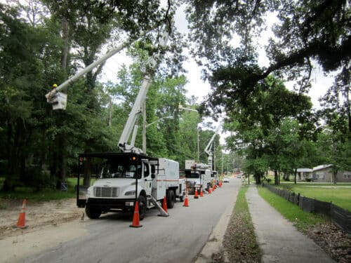 JEA Bucket truck trimming trees