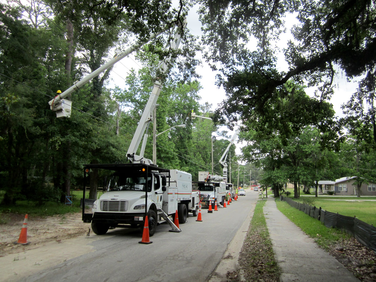 JEA Bucket truck trimming trees