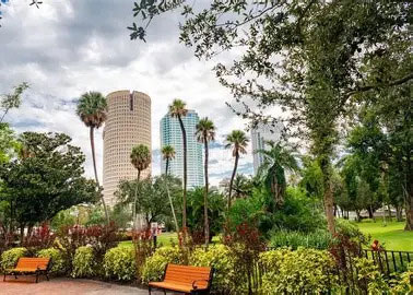 Tampa Trees - skyline and urban forest
